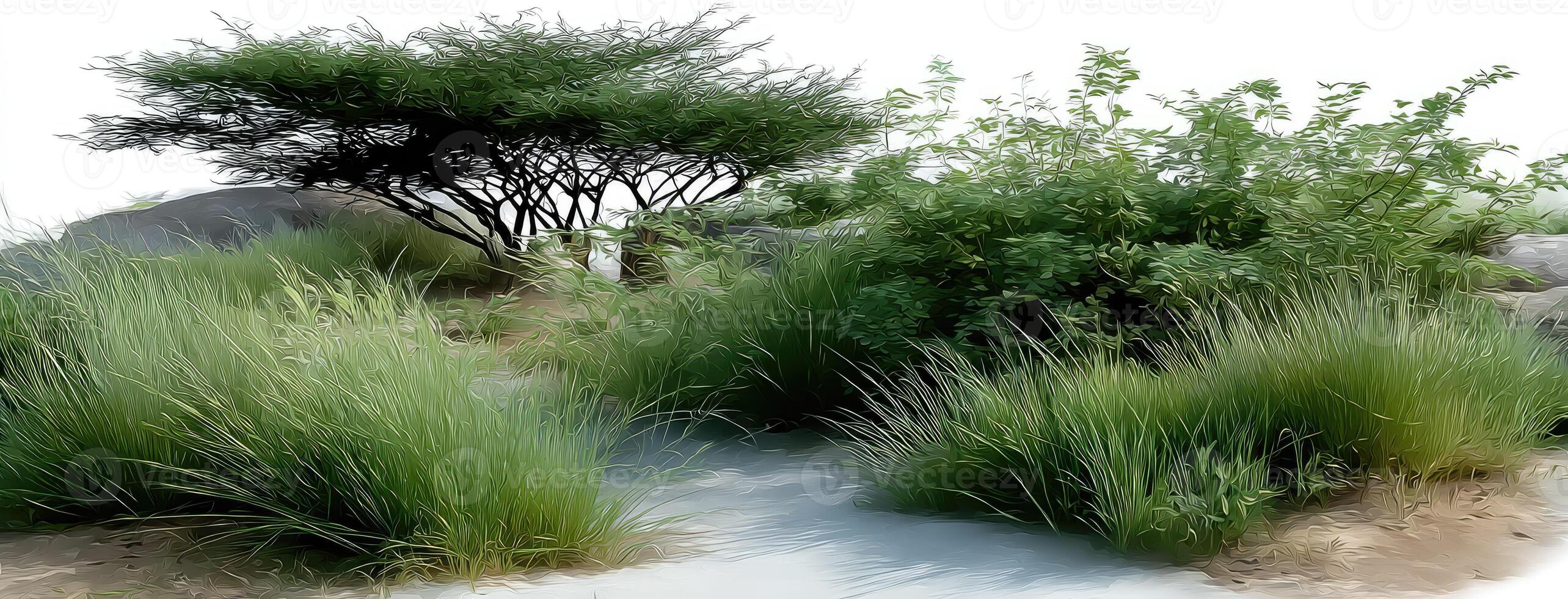 A digital rendering of a grassy area with rocks and trees photo