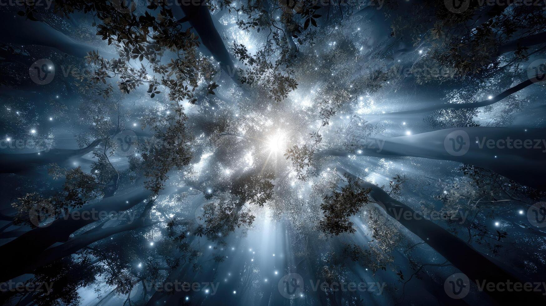 A dark forest with trees and stars photo