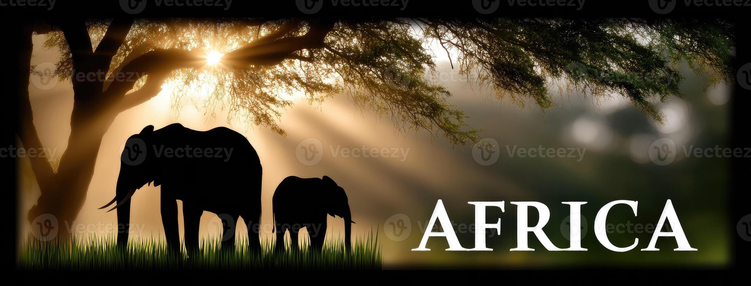 Africa wallpaper - wallpaper cave photo