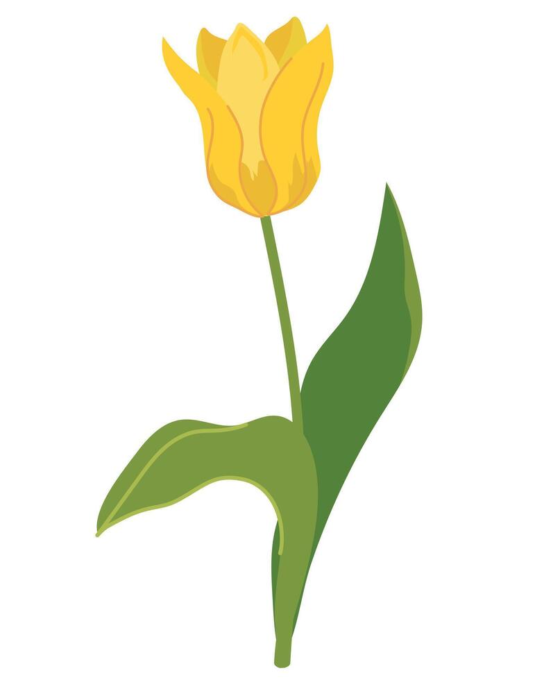 Yellow tulip. Stylized spring flower. Flat style illustration. vector