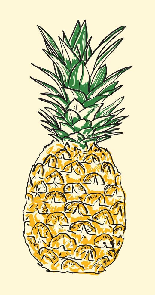 Vintage Pineapple Drawing vector