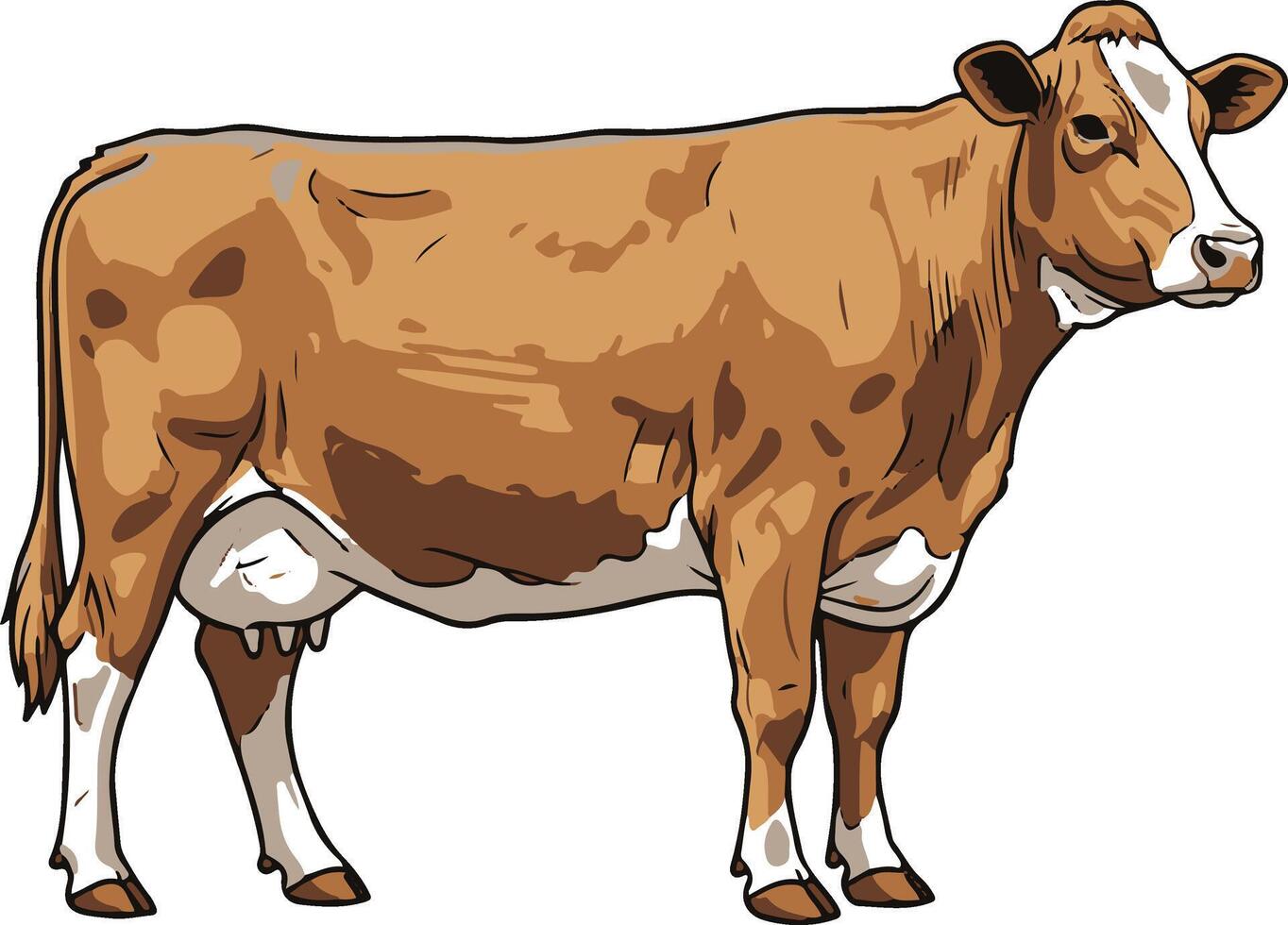 A cartoon cow standing on a white background vector
