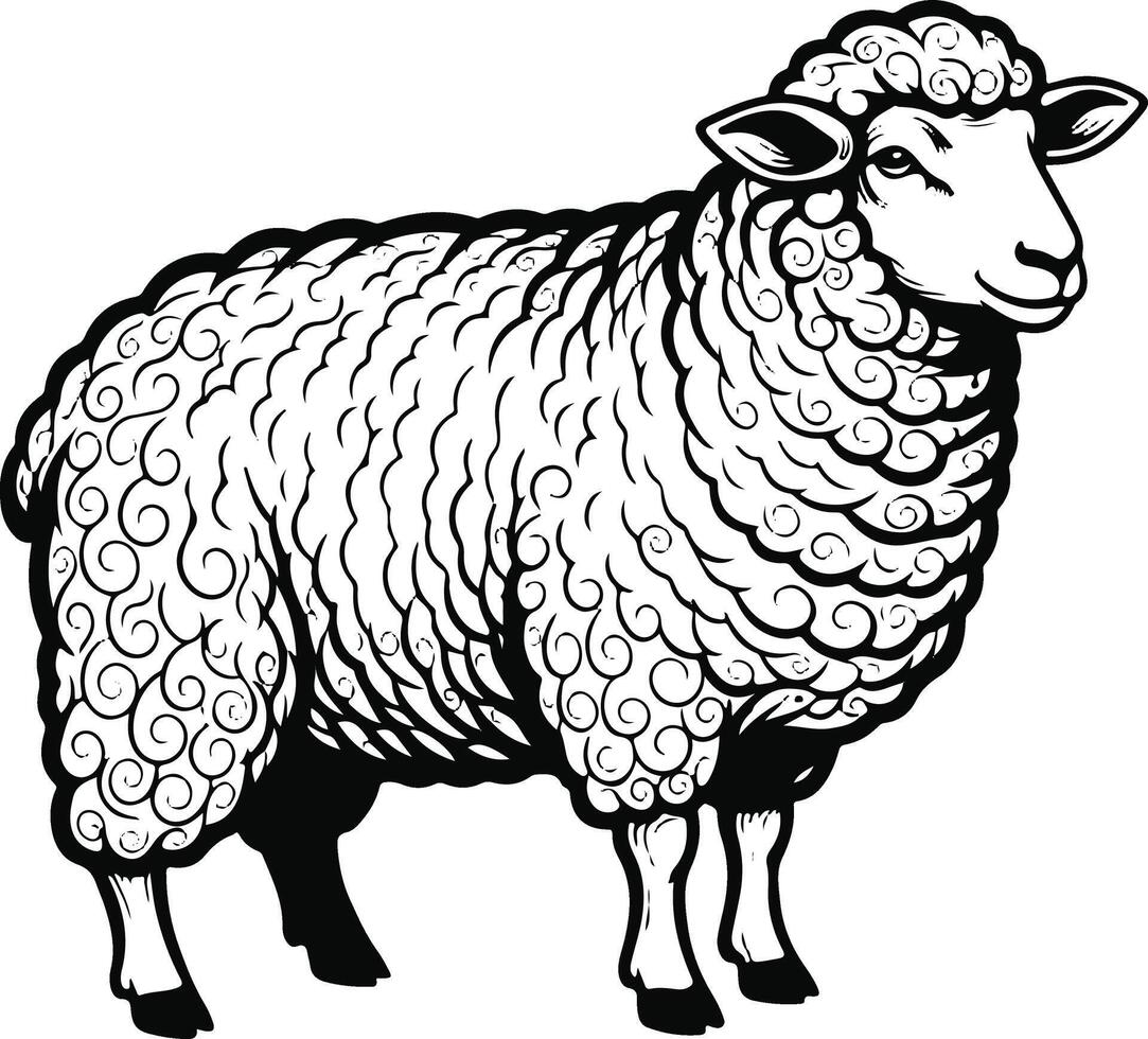 Sheep coloring pages free download vector