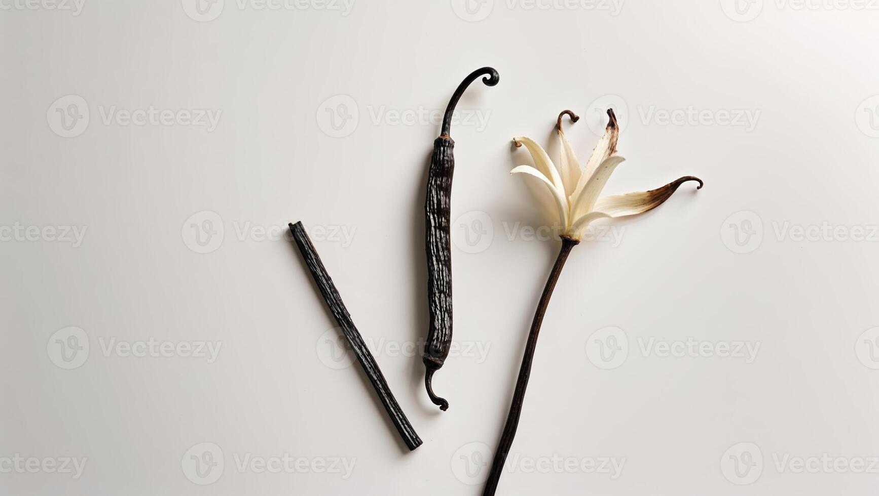 Unique vanilla beans and flower displayed on a minimalist surface in natural light photo