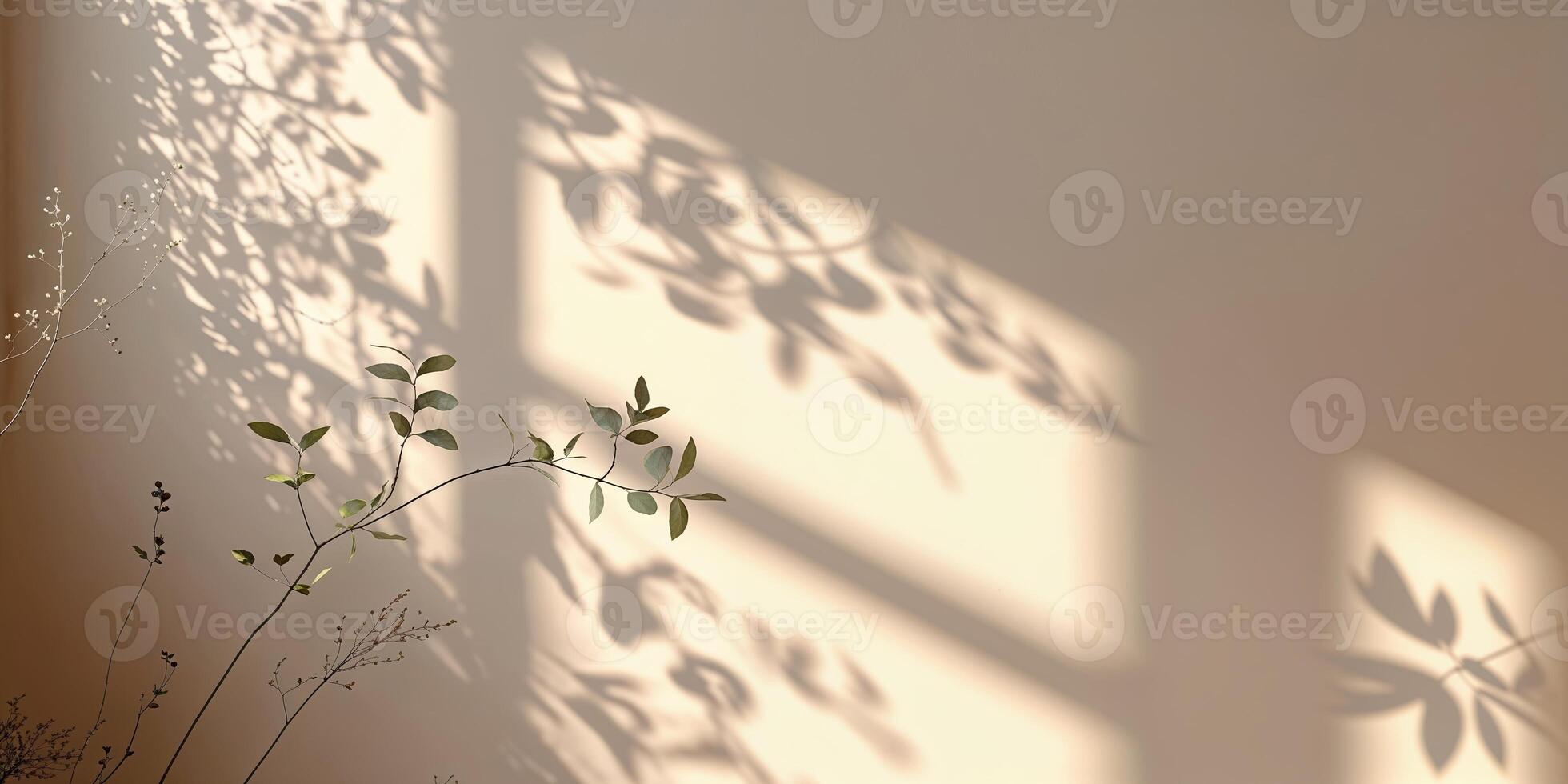 Soft shadows of leaves cast on a neutral wall in a sunlit room during the morning hours photo