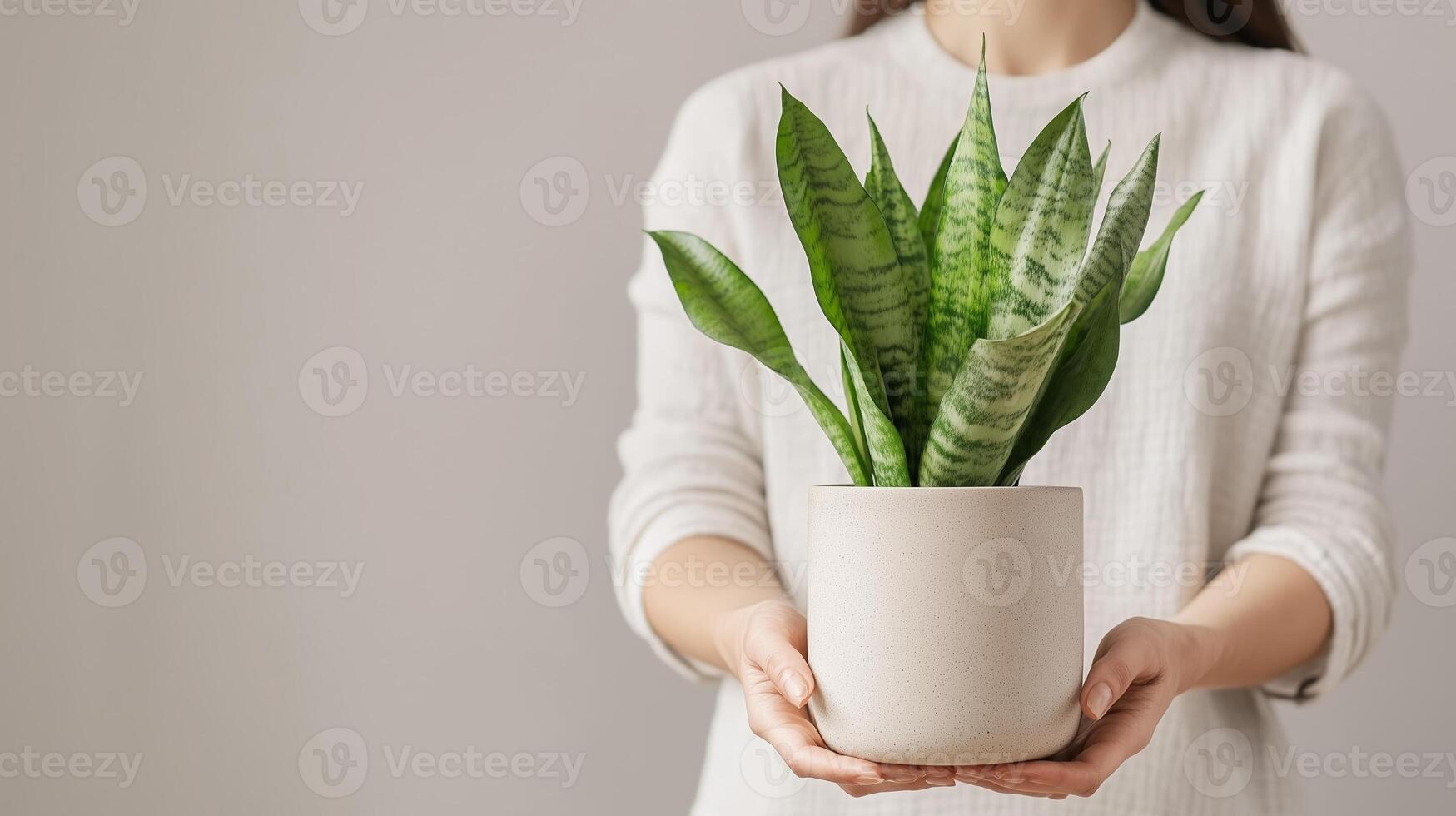 Plant enthusiast holds a snake plant in a modern ceramic pot against a neutral background in a cozy indoor setting photo