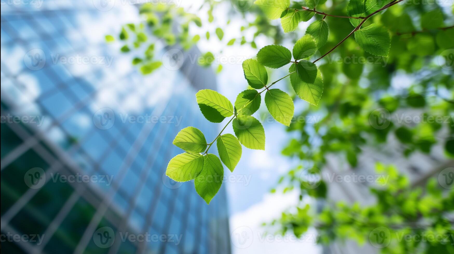 Bright green leaves contrasting with modern glass buildings in an urban setting during daylight hours photo