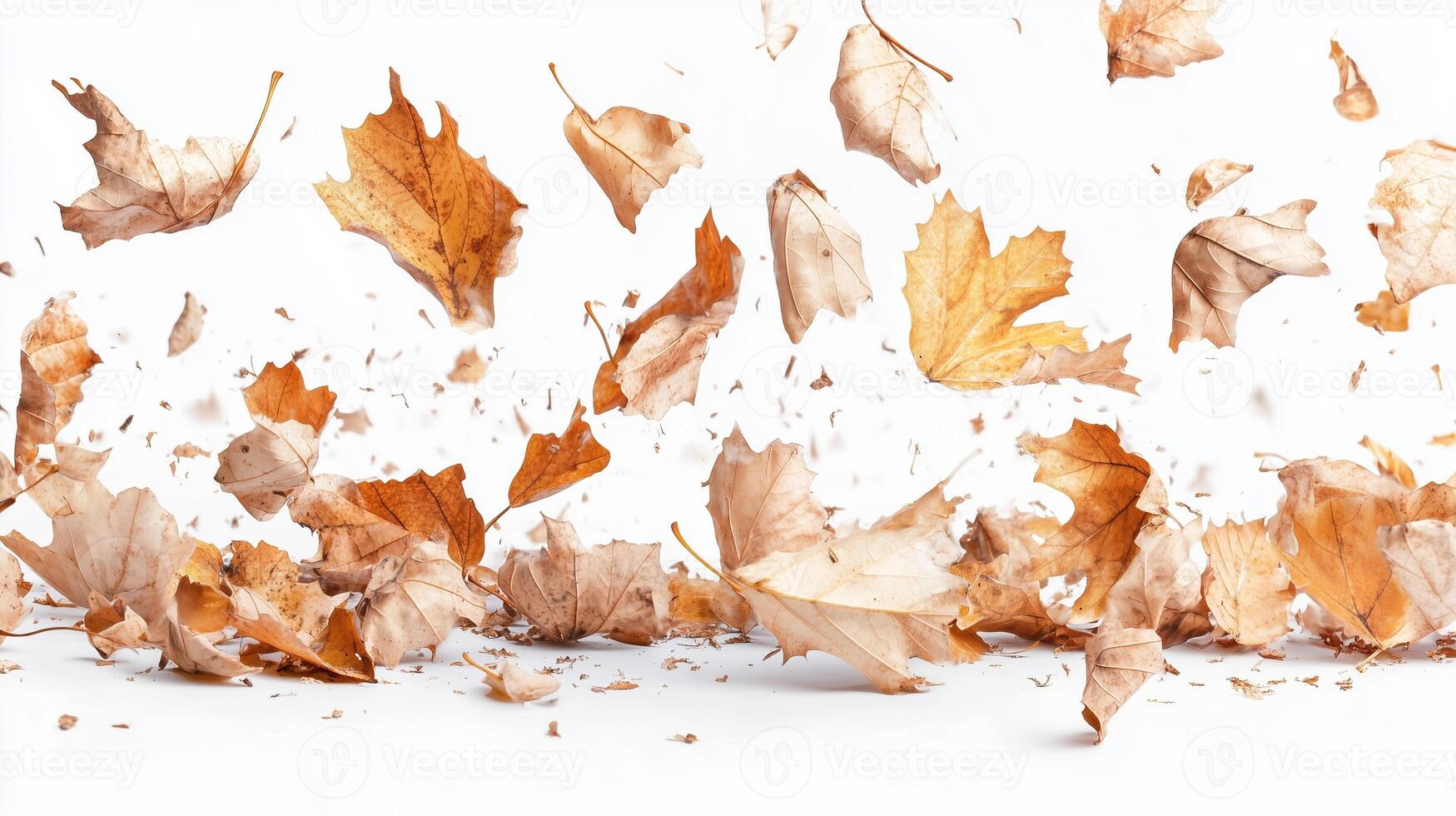 Autumn leaves dance in the air creating a vibrant display of nature's artwork during a breezy afternoon photo