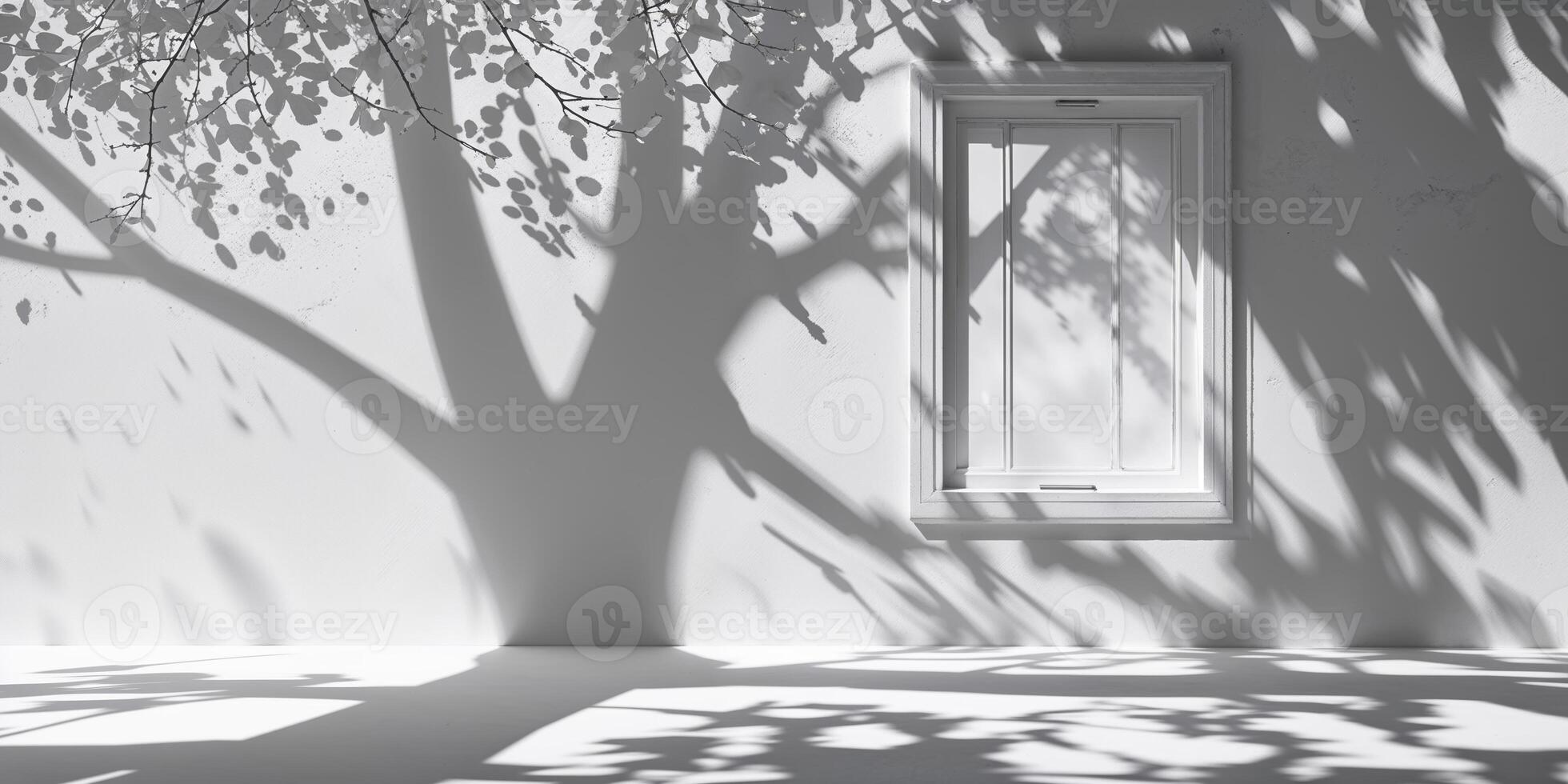 Shadows of a tree cast on a white wall beside a window during daylight hours photo