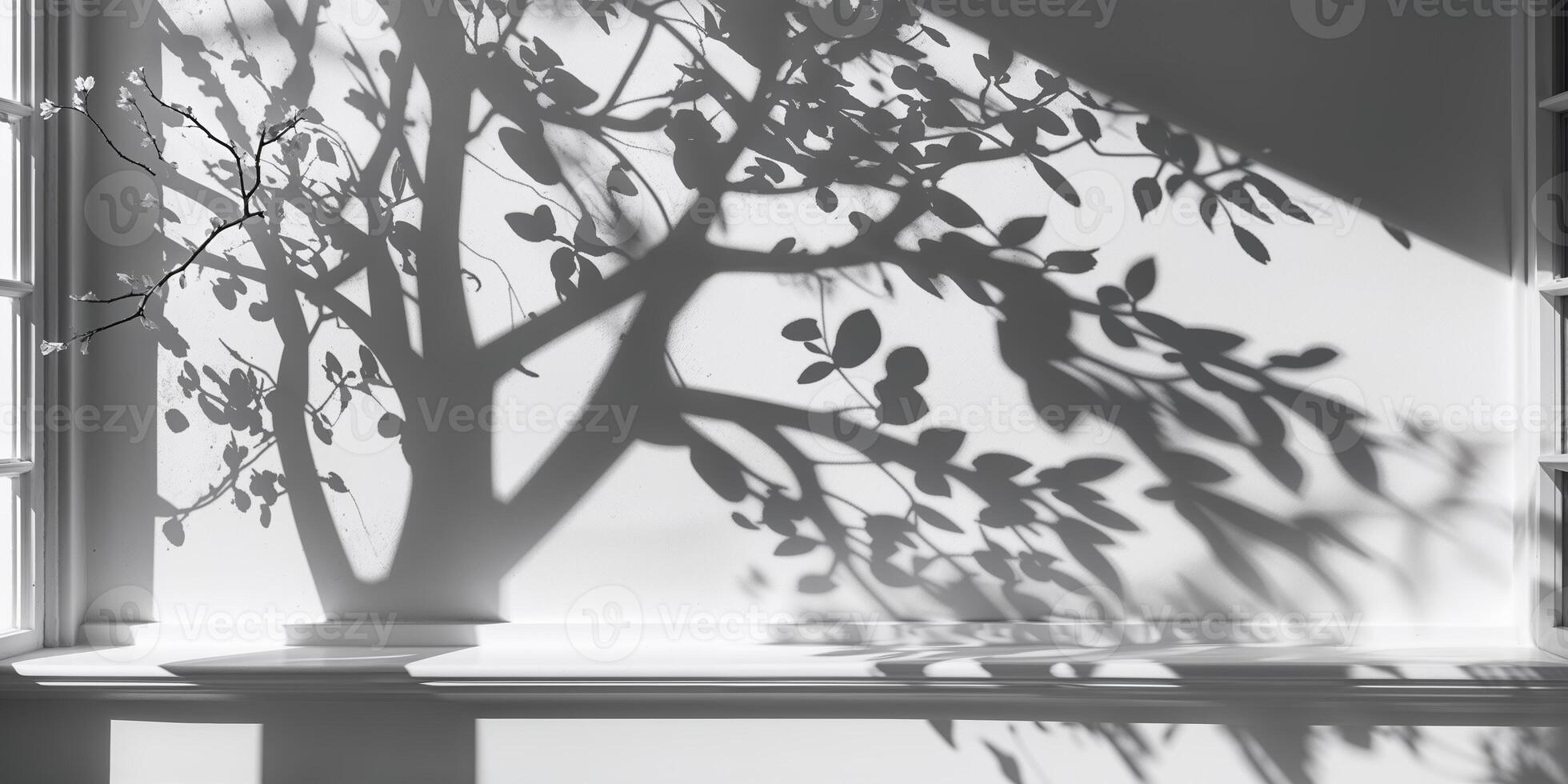 Shadows cast by tree branches create intricate patterns on a white wall in a sunny indoor space during the afternoon photo
