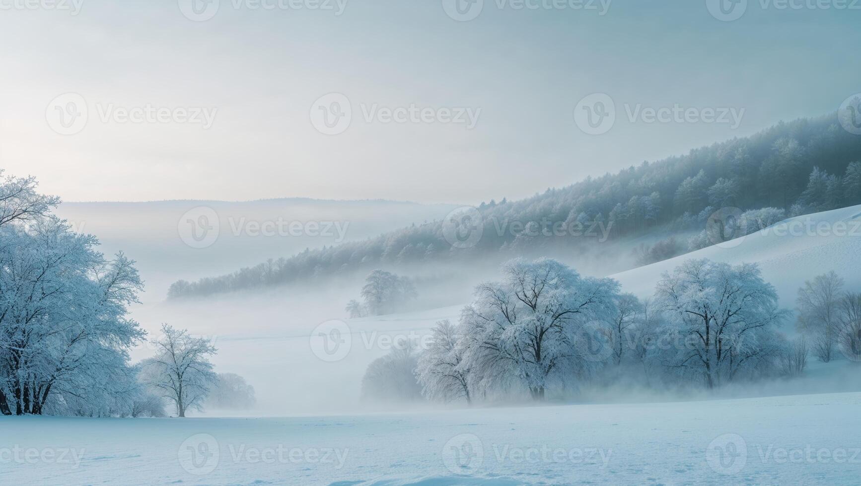Winter landscape with misty hills and frosted trees during early morning light photo
