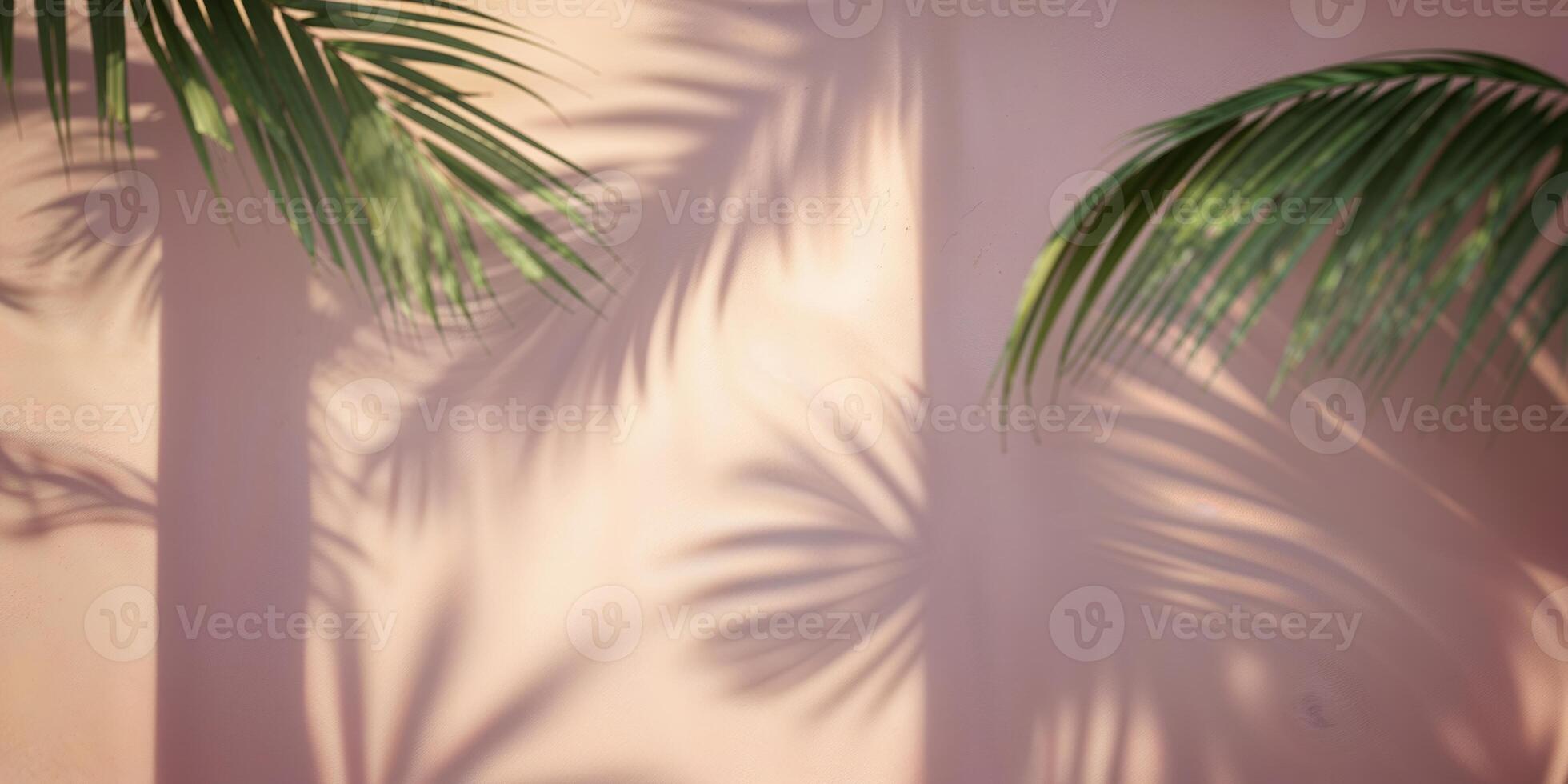 Palm shadows create a serene pattern on soft pink wall during afternoon light in a tropical setting photo