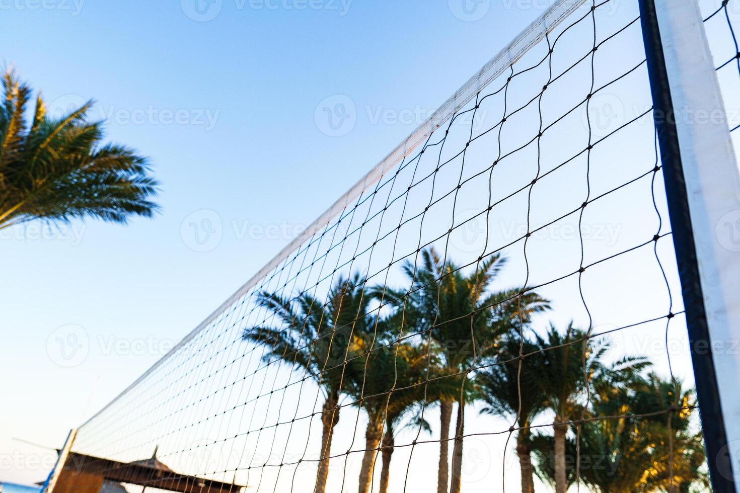 Sunny beach volleyball court framed by palm trees under a clear blue sky in a tropical setting during the afternoon photo