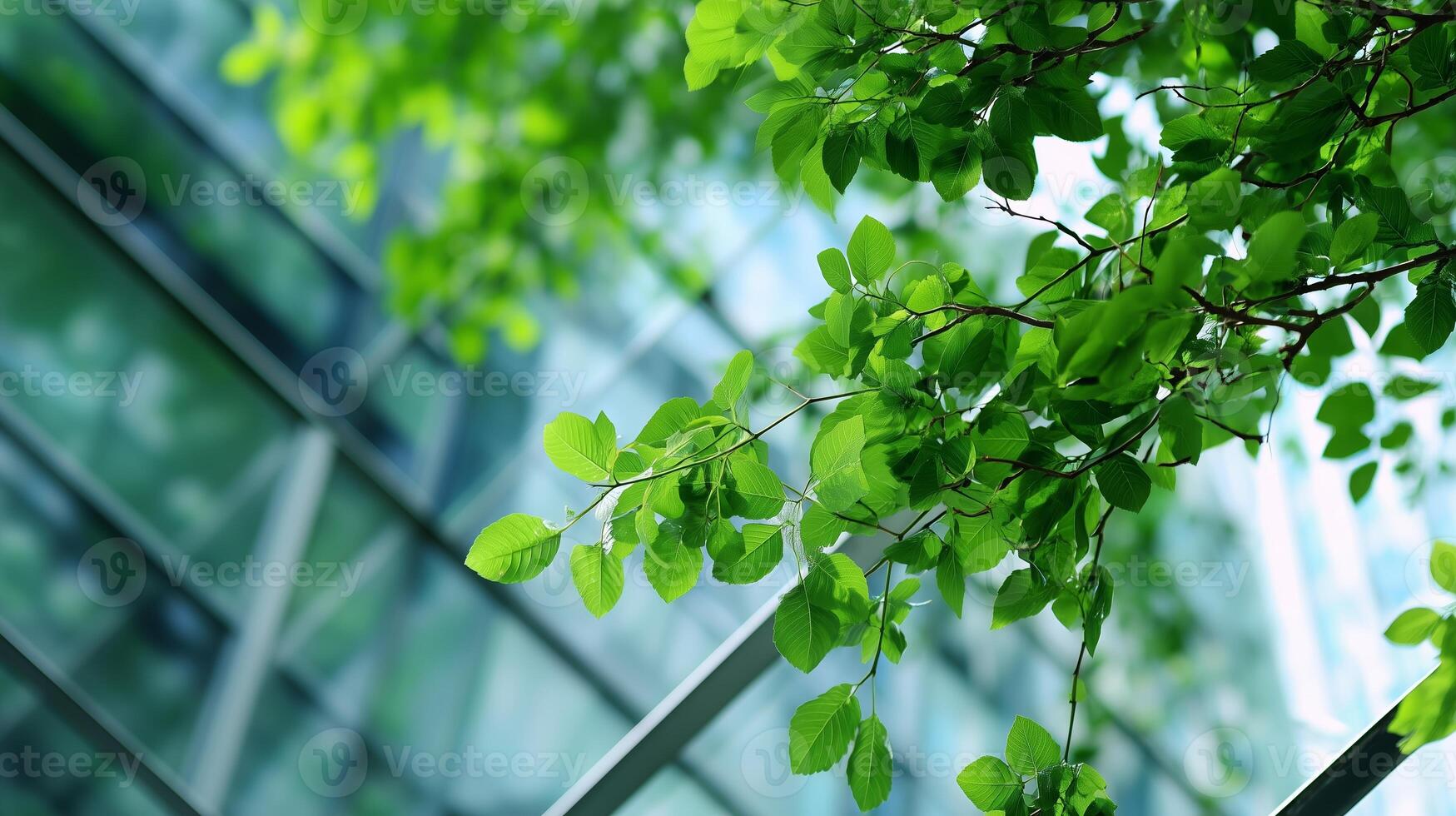 Fresh green leaves contrast with modern glass architecture in a serene urban setting during daylight hours photo