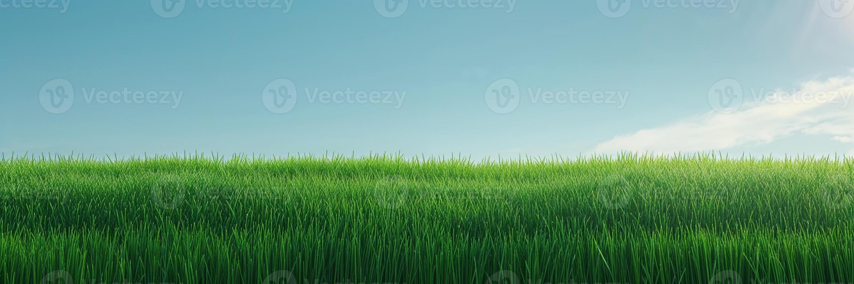Lush green grass field under a clear blue sky with fluffy white clouds on a sunny day photo