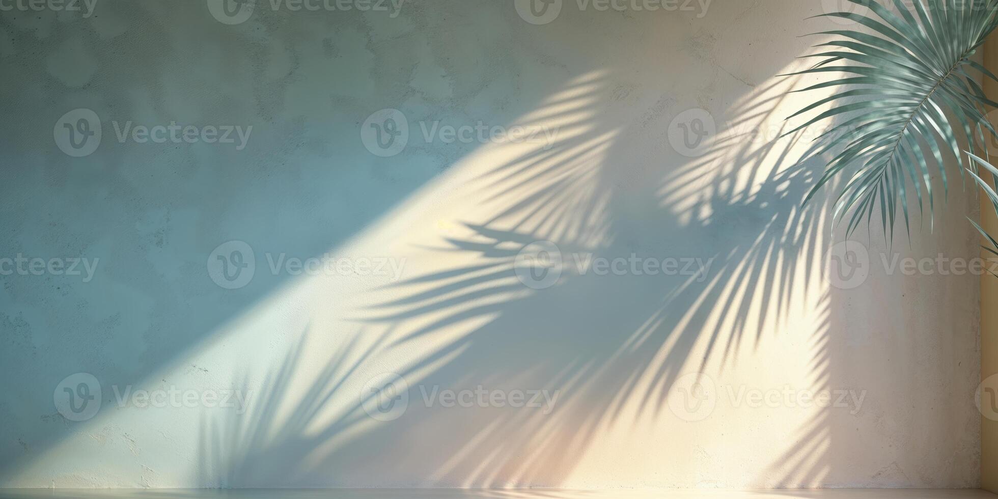 Shadows of a tropical plant create a serene atmosphere on a textured wall in afternoon light photo