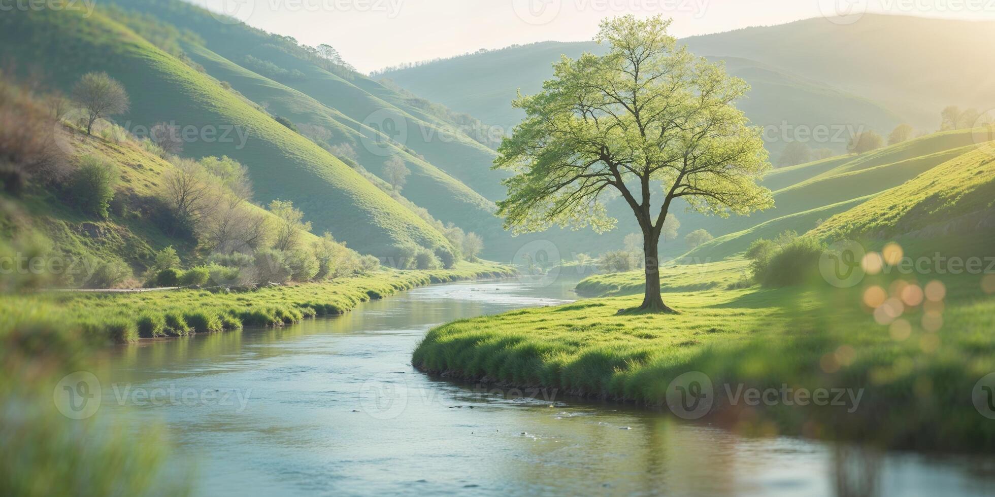 Sunlight filters through green hills over tranquil river with a lone tree in the foreground in springtime photo