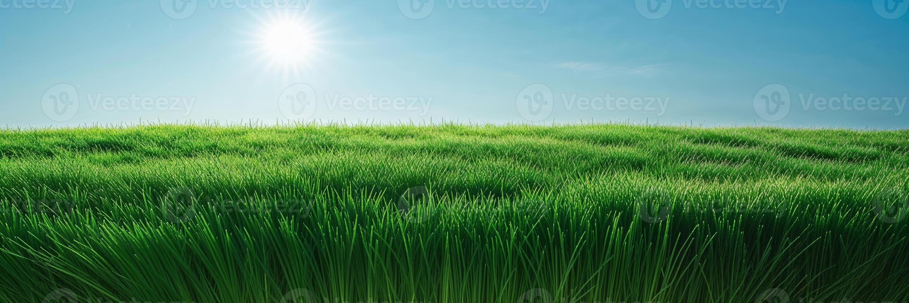 Lush green grass fields under clear blue sky and bright sun, creating a serene outdoor atmosphere in the afternoon photo