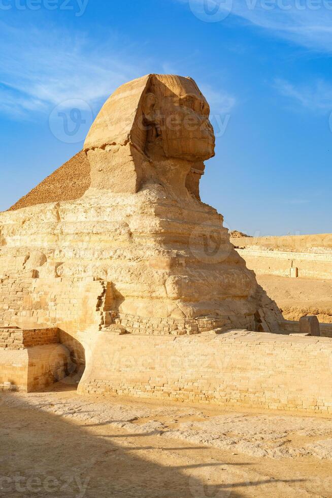 Grand view of the Great Sphinx at Giza under clear blue sky during midday light photo
