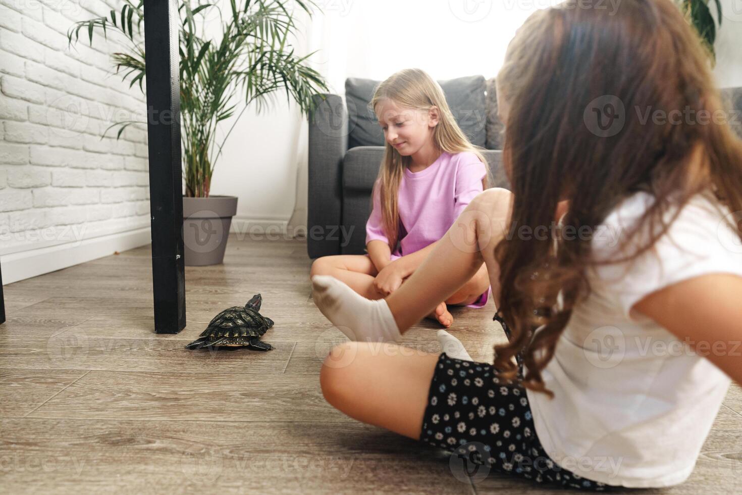 Two girls interact with a turtle indoors in a bright living room during a leisurely afternoon photo