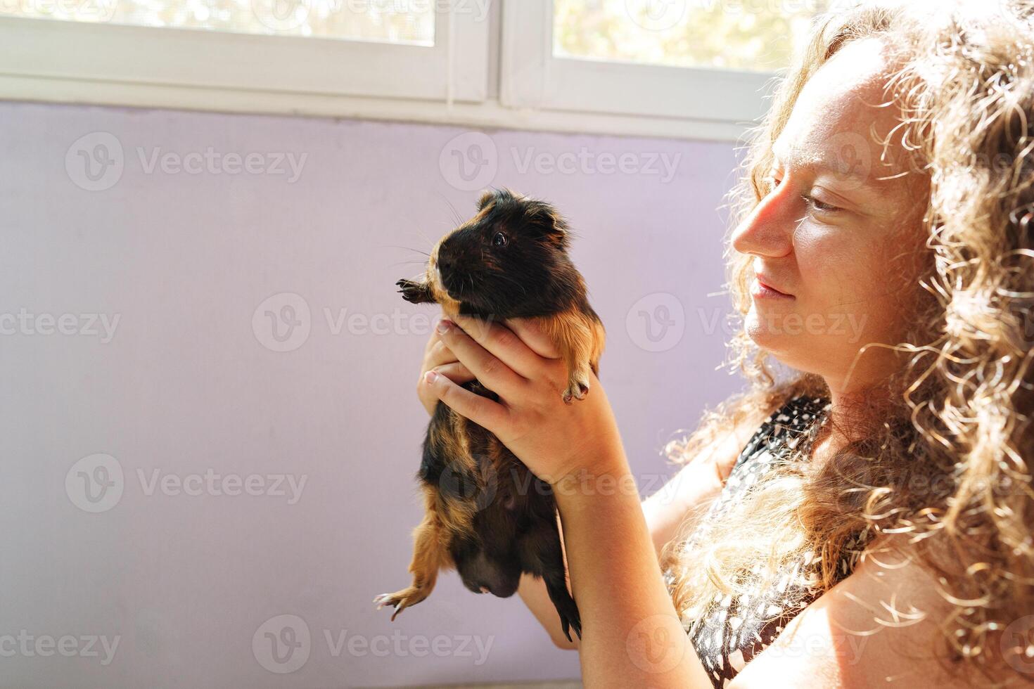 Woman holds a guinea pig with joy in a sunny room, celebrating their bond during a peaceful afternoon photo