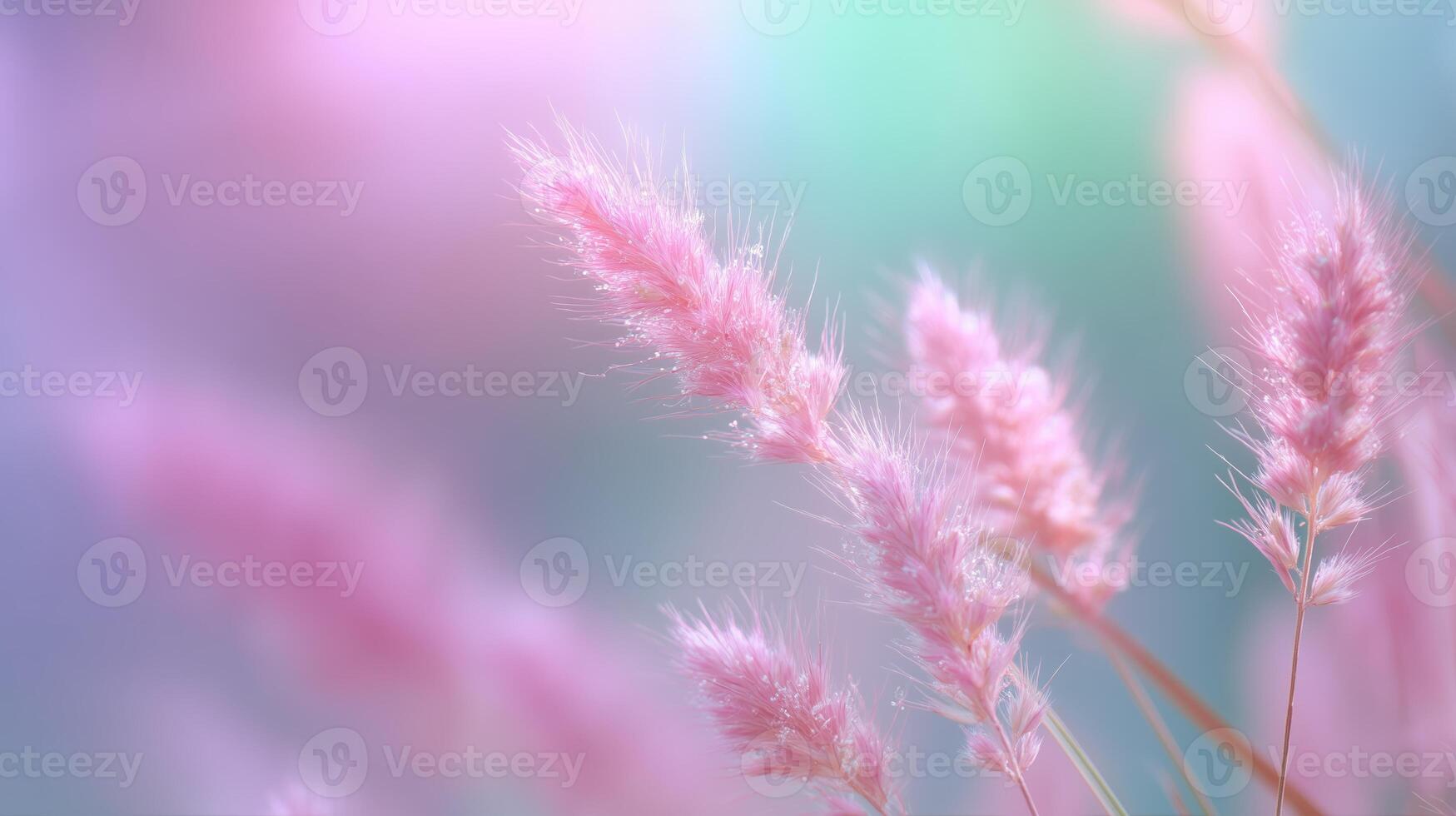Soft pink grass swaying in gentle breeze during golden hour of late afternoon in tranquil natural setting photo
