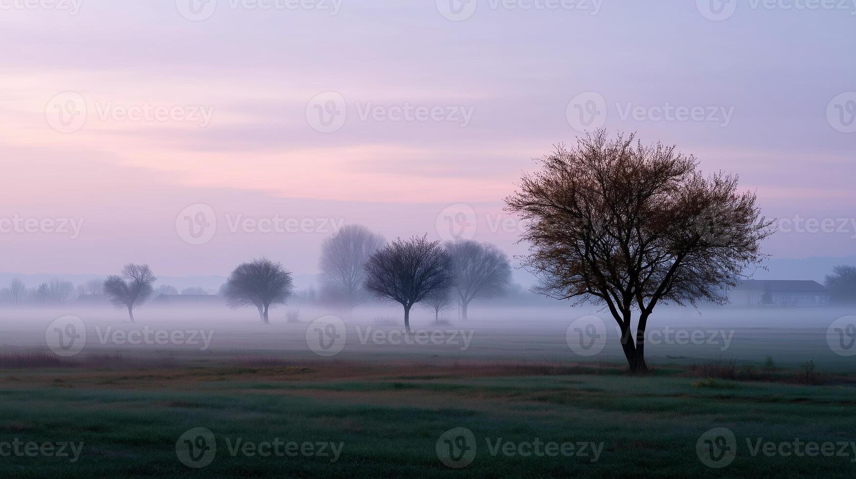 Morning mist envelops quiet trees in a serene landscape at dawn during early spring photo