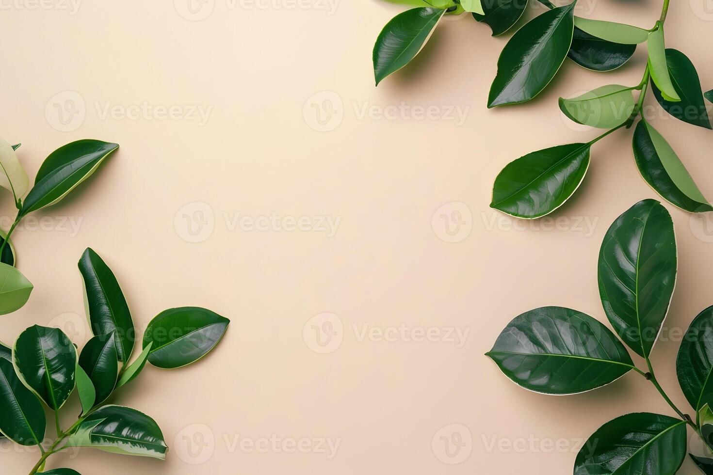 Green leaves on a beige background photo