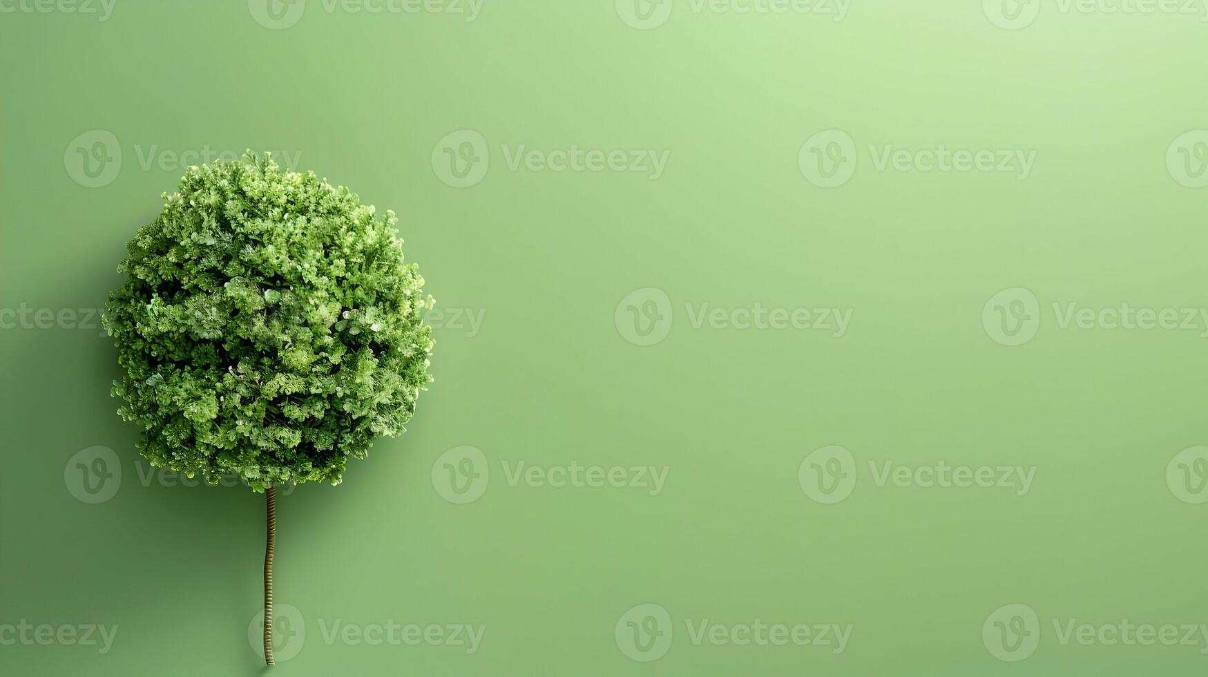 A small tree on a green wall photo