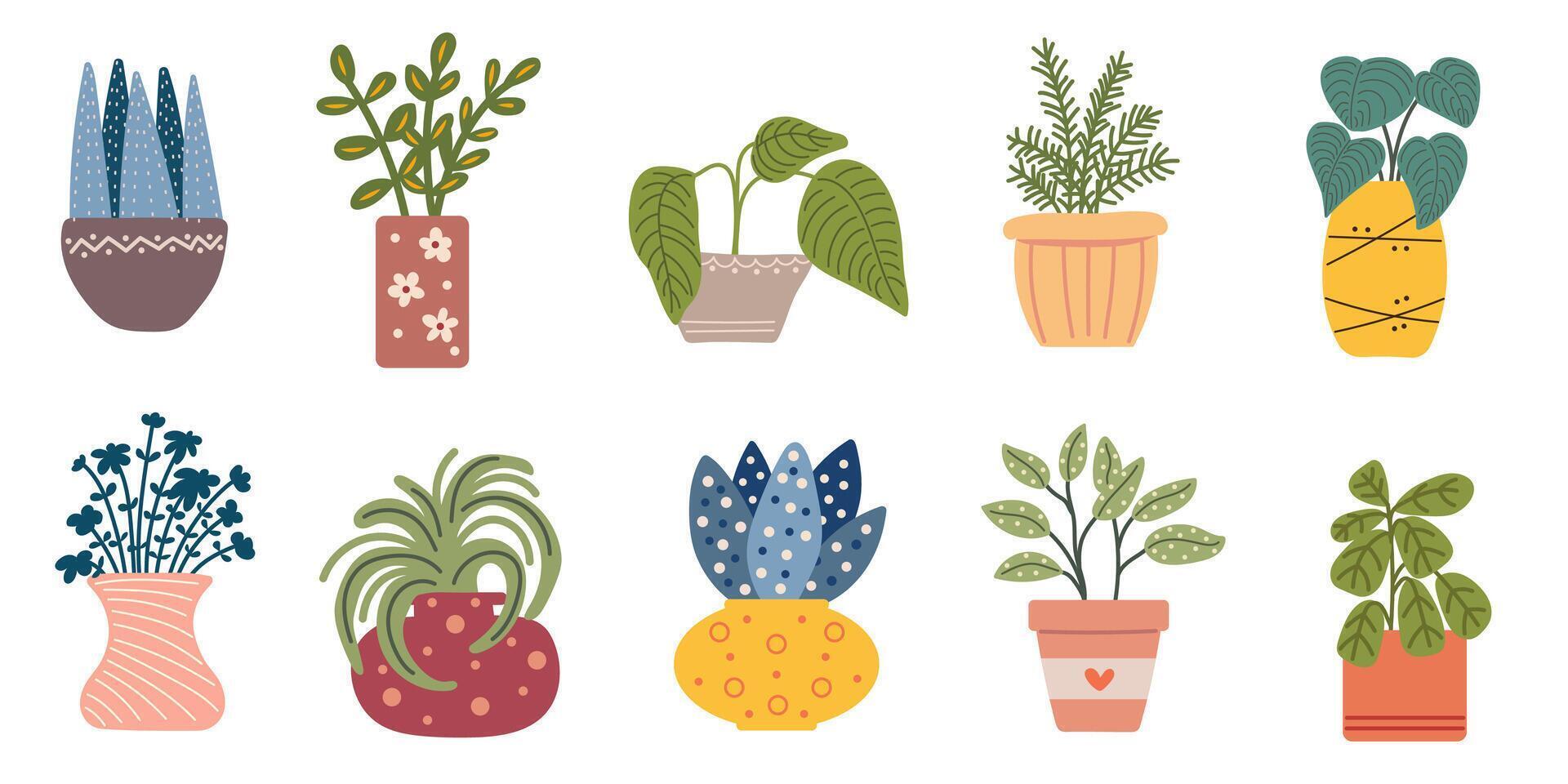 Set of plants in pots. Simple home plants potted. vector