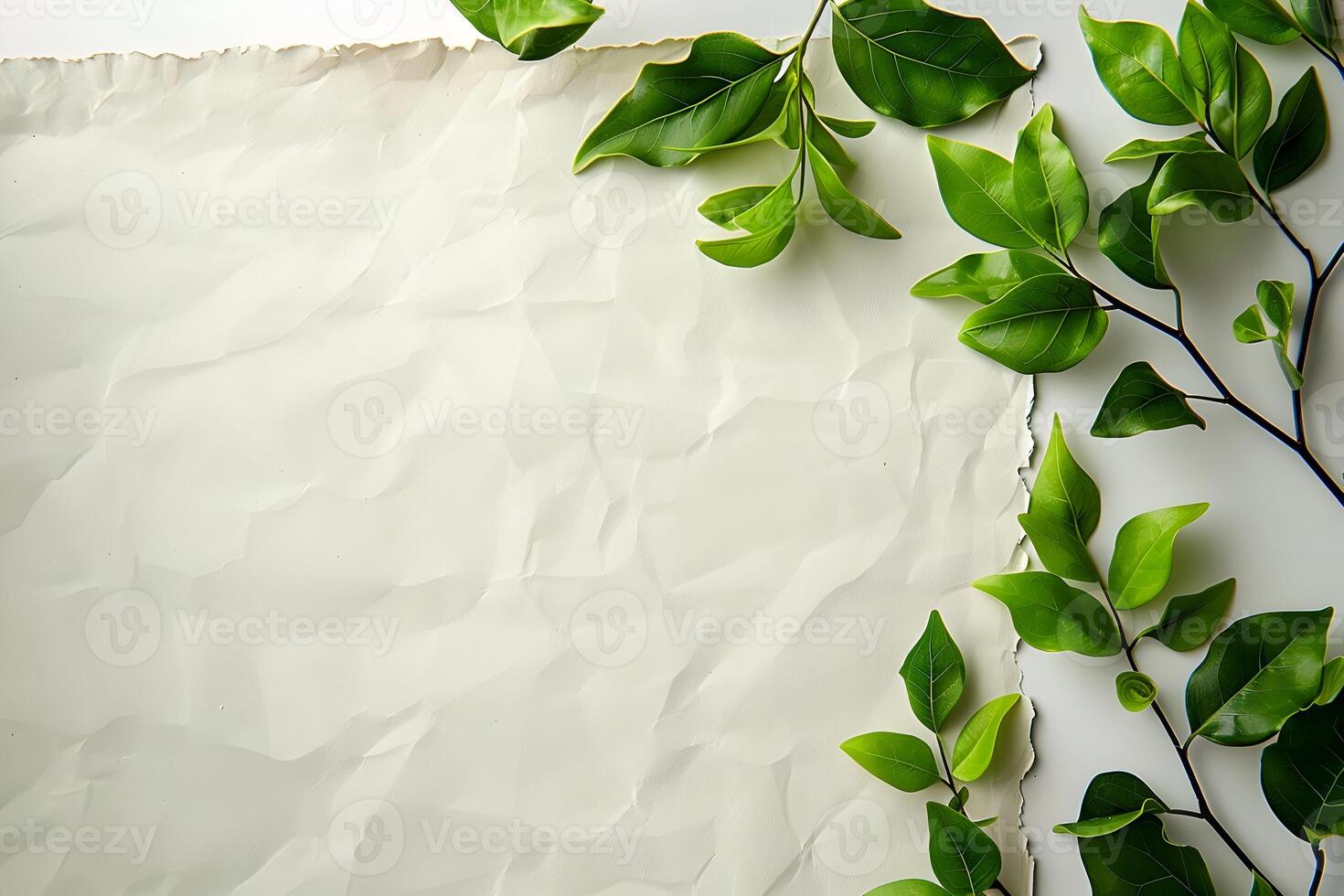 A piece of paper with green leaves on it photo