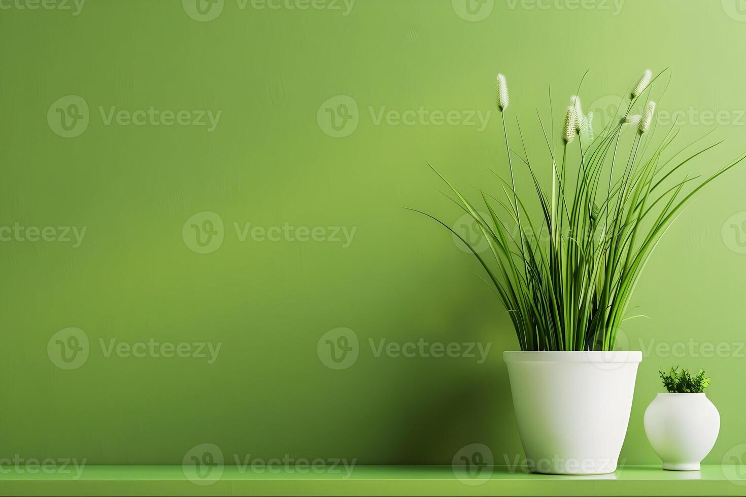 Green wall with white vase and grass photo