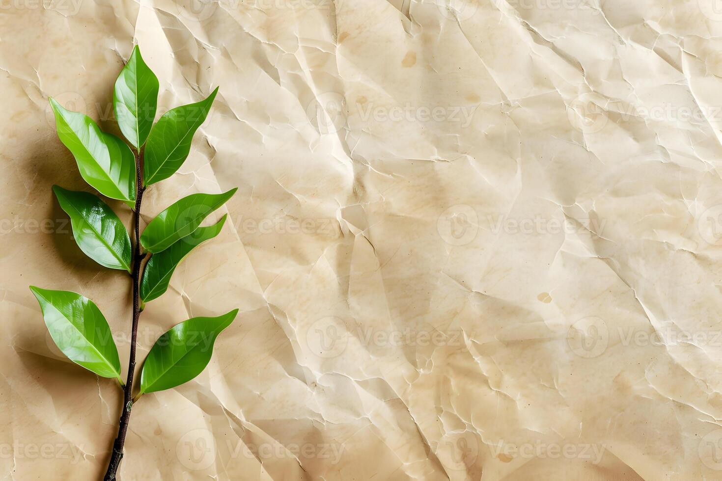 A single green leaf on a crumpled paper background photo