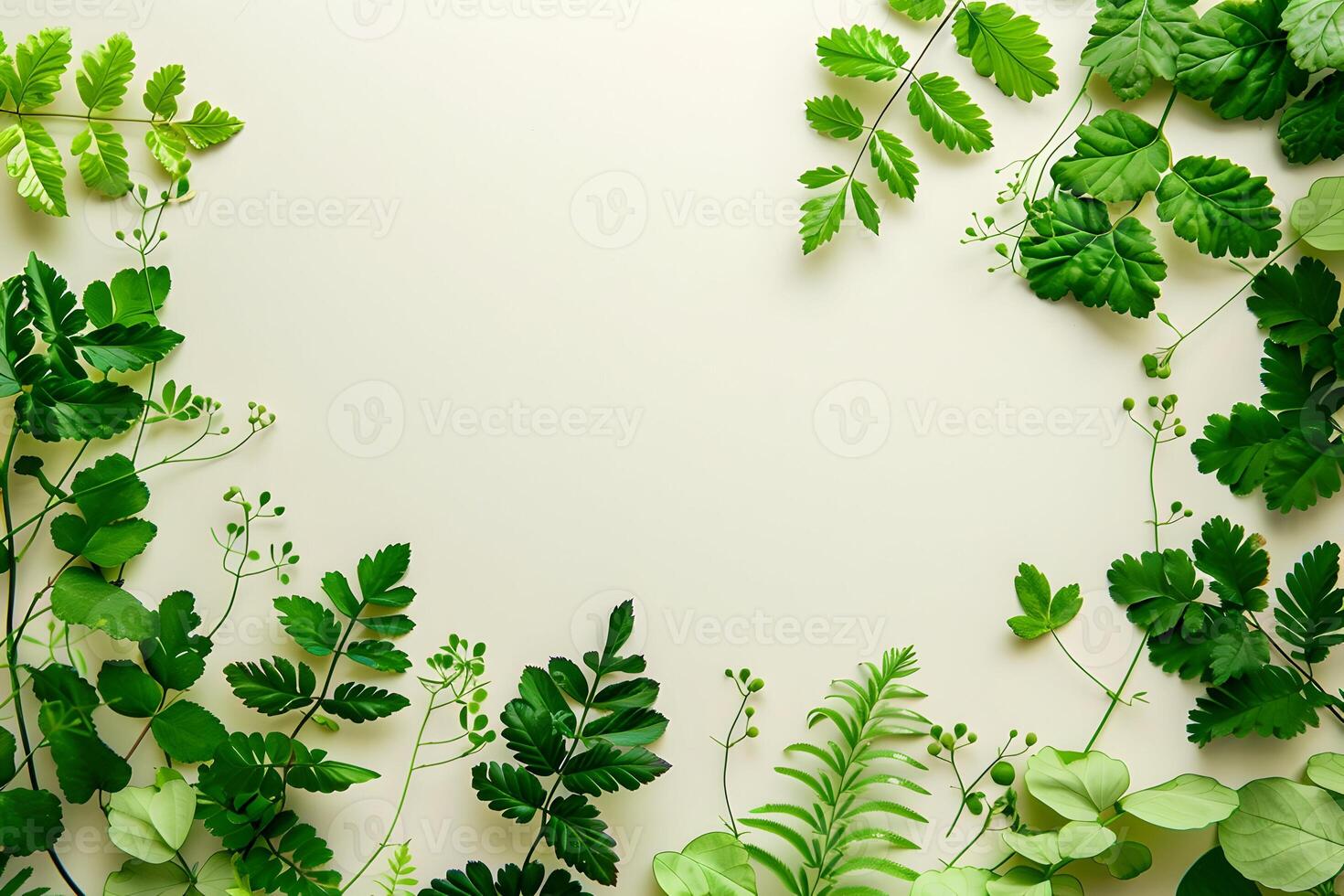 Green leaves and plants arranged in a circle photo