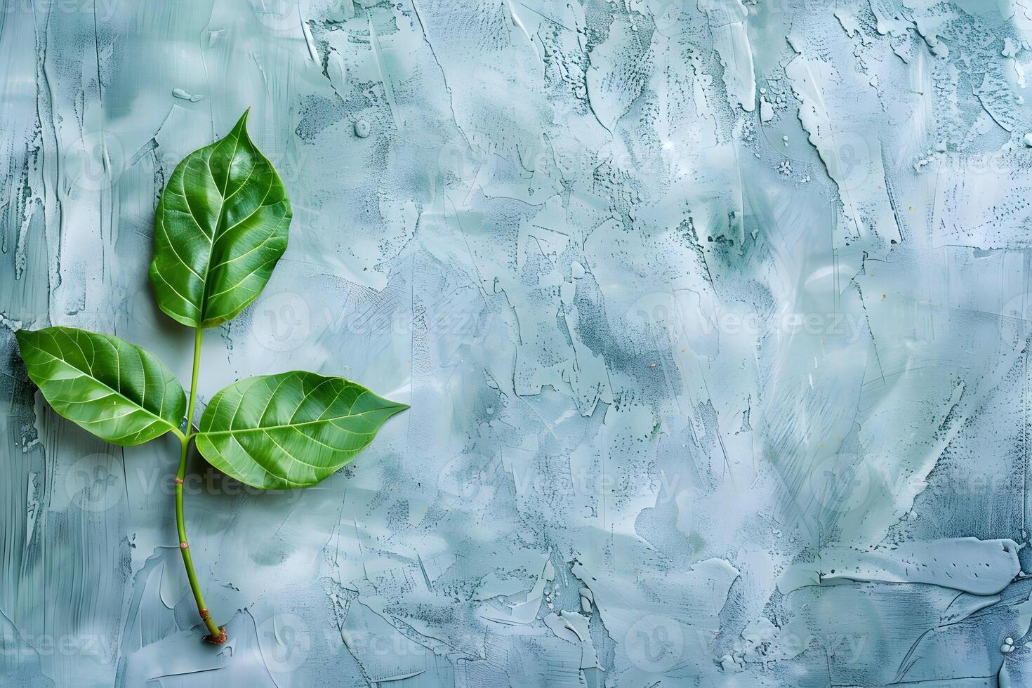 A green leaf on a blue wall photo