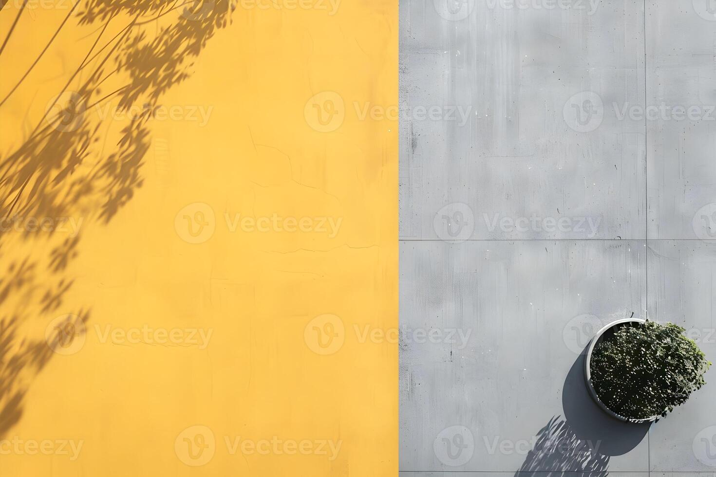 A plant in a pot on a yellow wall photo