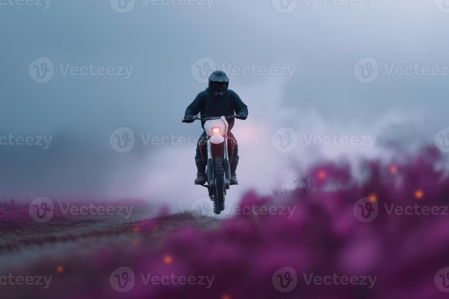 Motorcyclist rides through foggy landscape with blooming flowers during early morning light photo