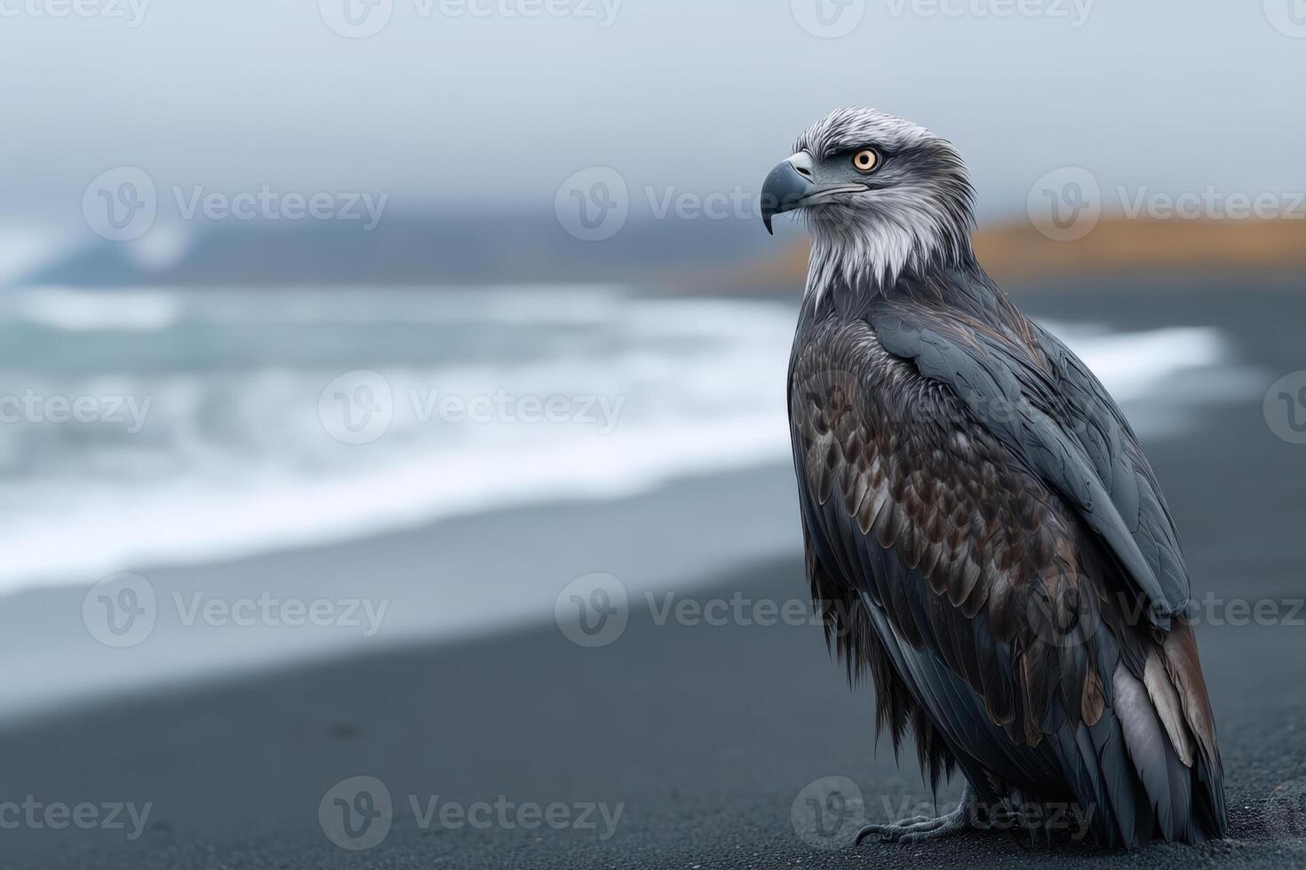 Bird struggles to walk on dark shore against ocean backdrop in soft light photo