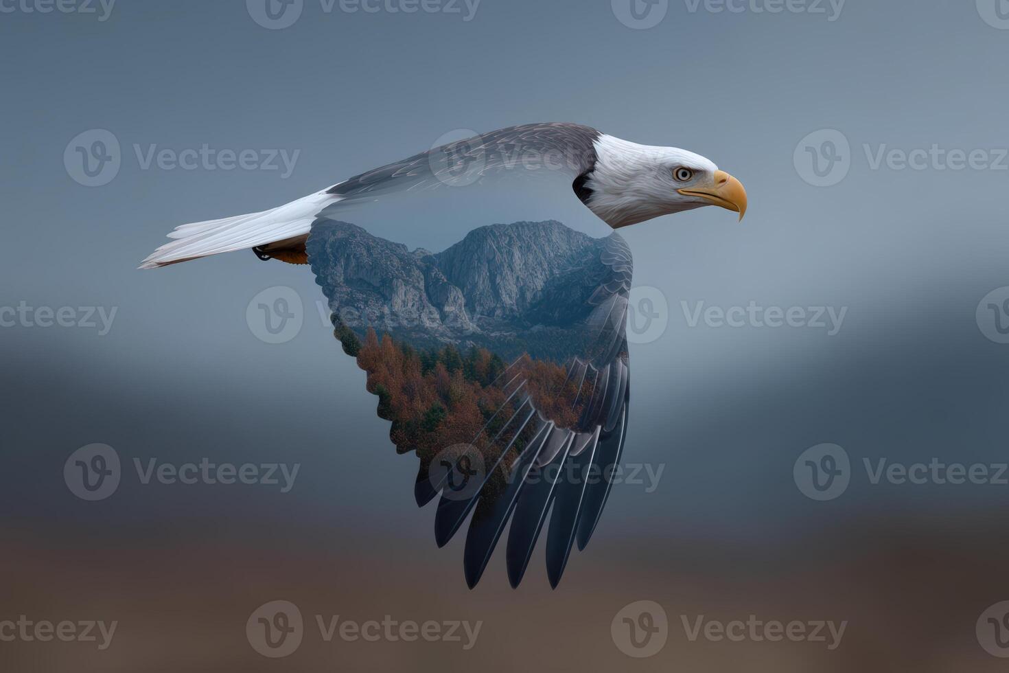 Majestic eagle soaring with mountain landscape captured during a serene afternoon flight photo