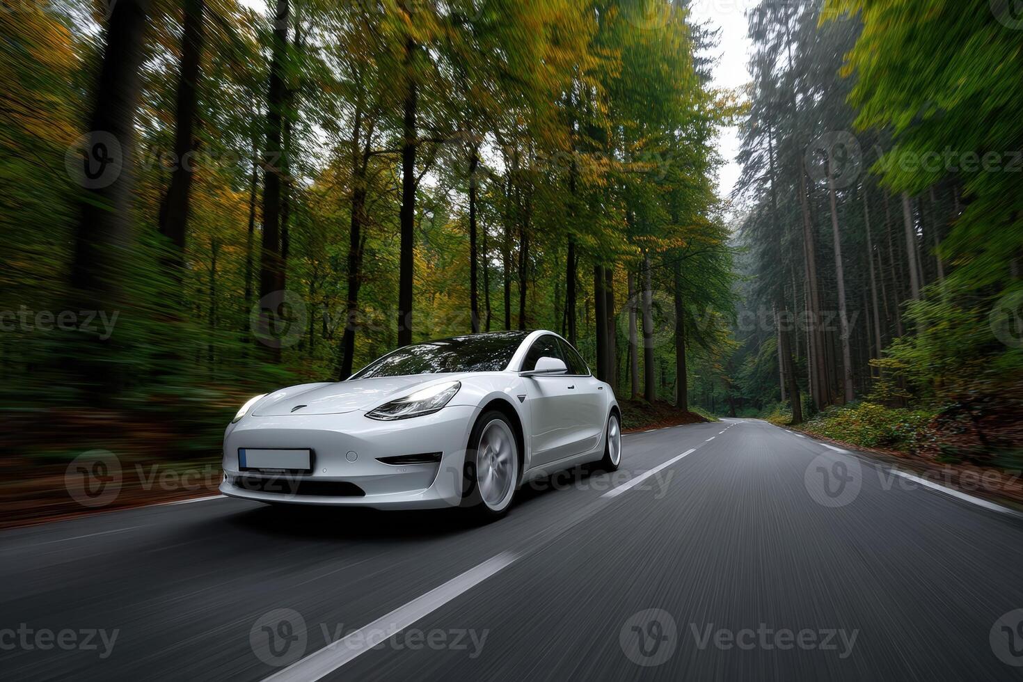 Car drives through a vibrant forest surrounded by towering trees in autumn photo