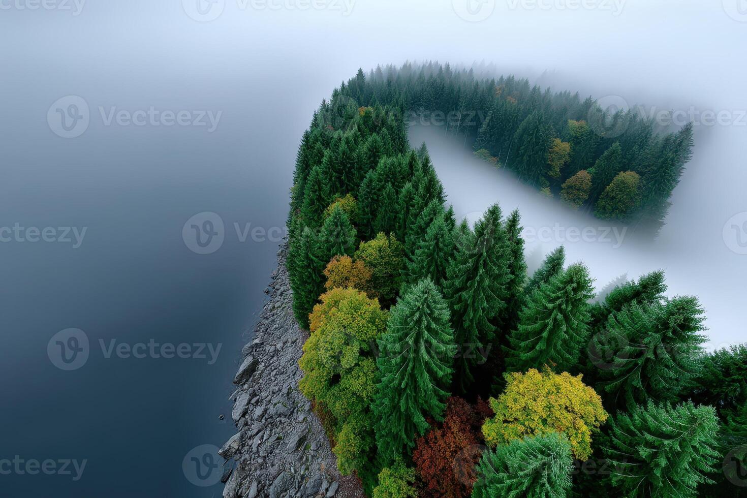 Winding green trees shaped like a letter near a misty water body photo