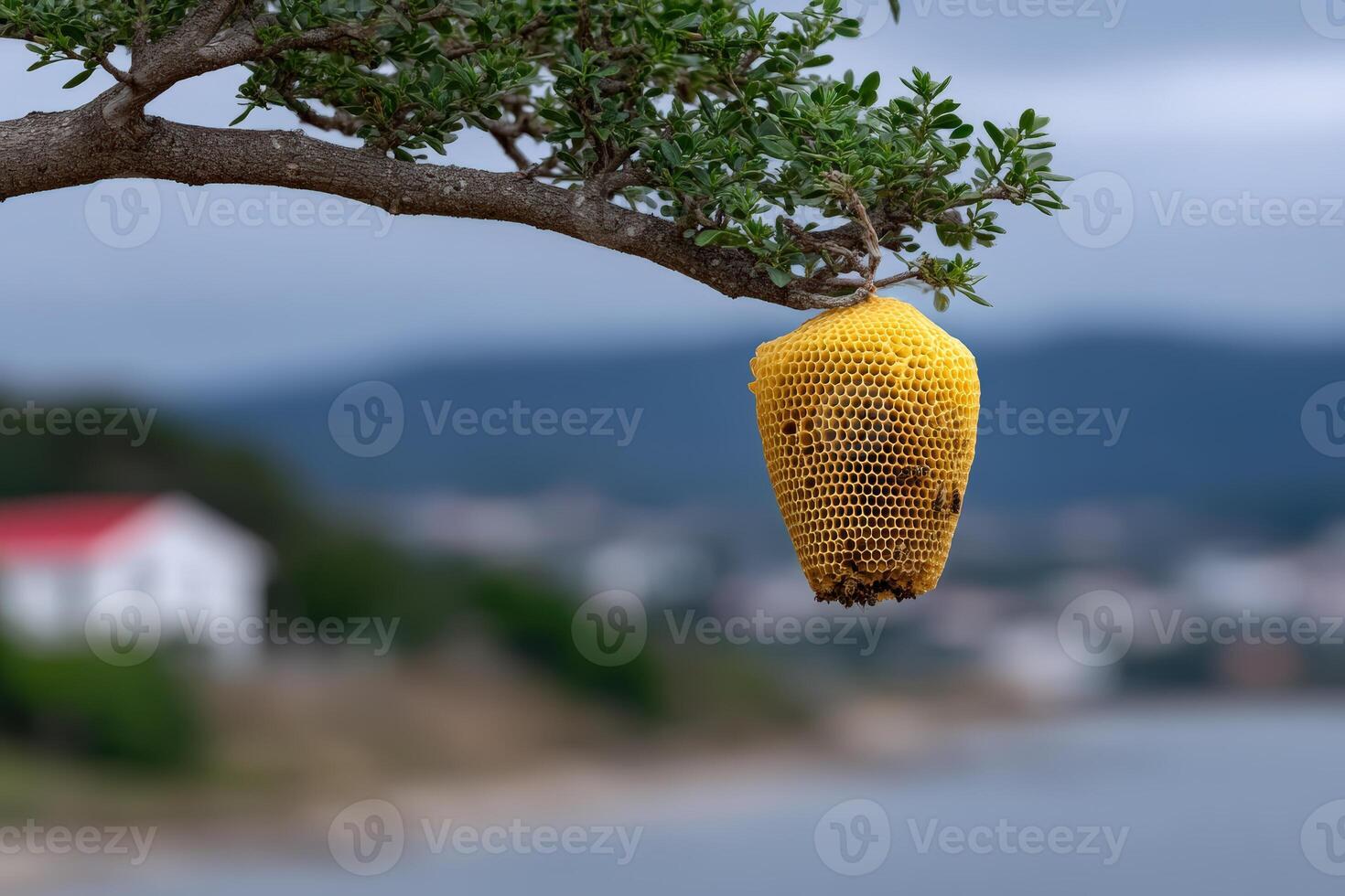 Beehive structured like a high-rise building hangs from a tree near a body of water photo