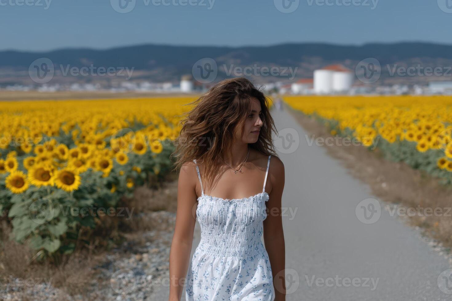 Walking through tall sunflowers on a sunny day in a rural landscape photo