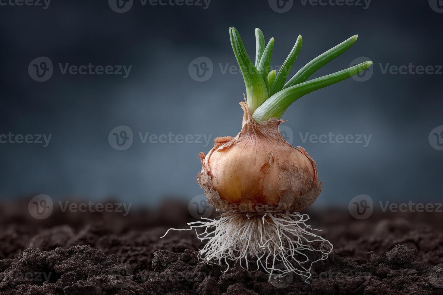 Plant bulb glows like a lightbulb in dark soil, showcasing nature's beauty at night photo