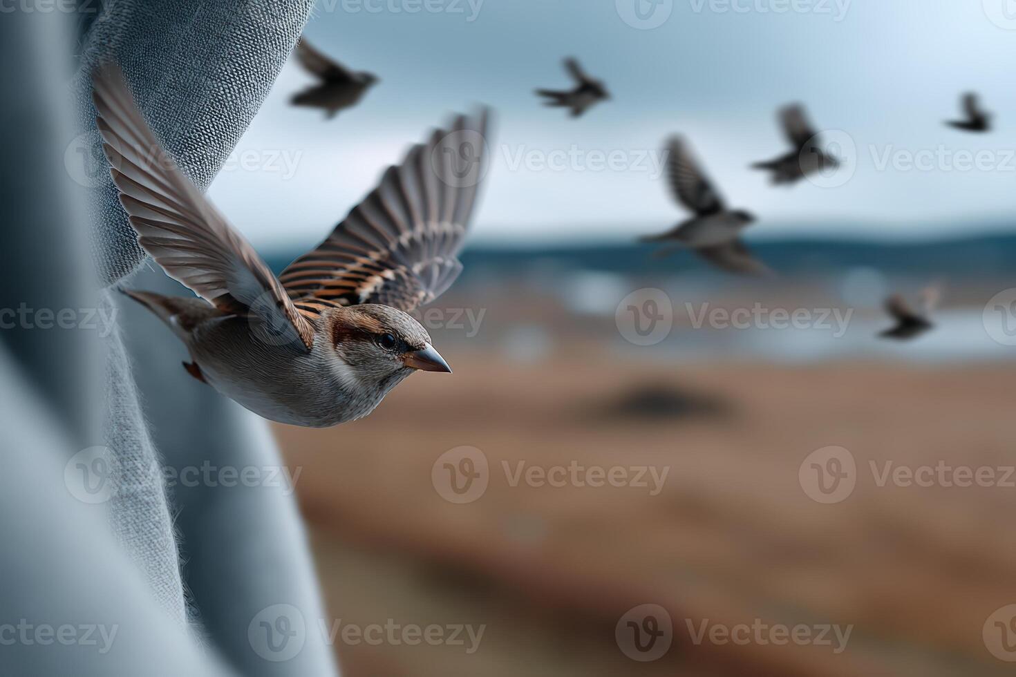 Birds take flight from a gentle landscape under a calm sky amidst natural textures photo
