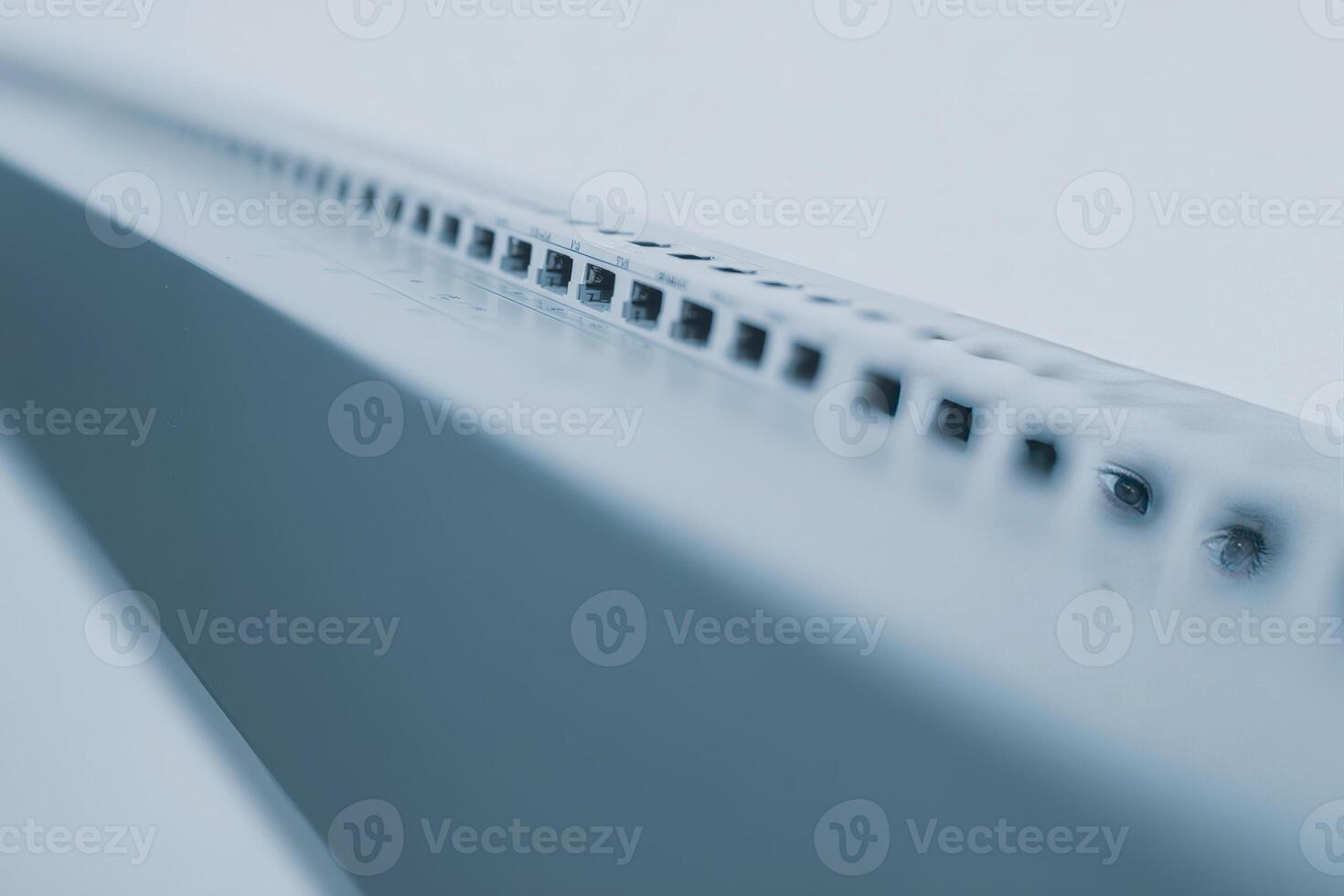 Close-up view of a single row patch panel showing numerous connection ports and details photo