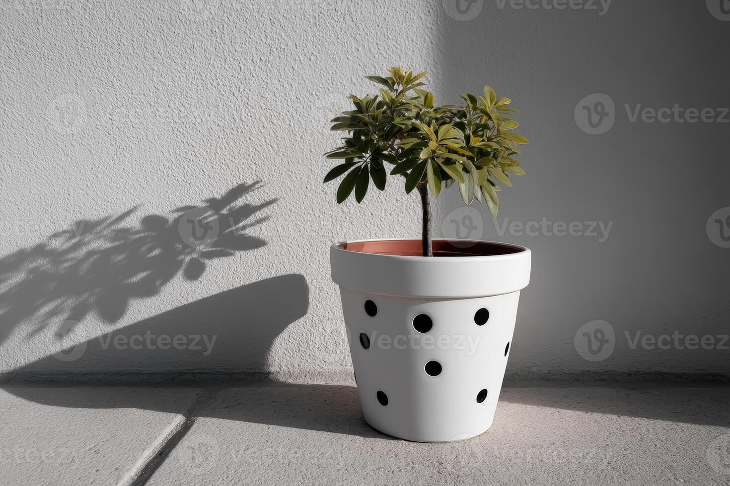 Leaves shaped like cameras sprout from a decorative pot on a bright surface photo