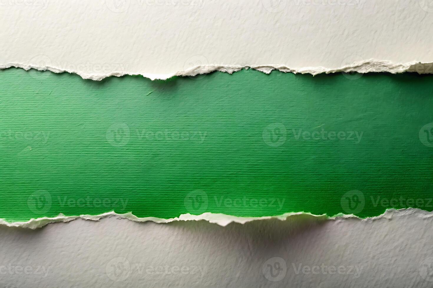 Torn paper edge texture on green paper background for your design photo