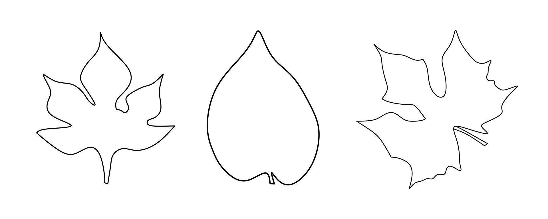 Simple Leaf Line Art Featuring Three Unique Natural Shapes vector