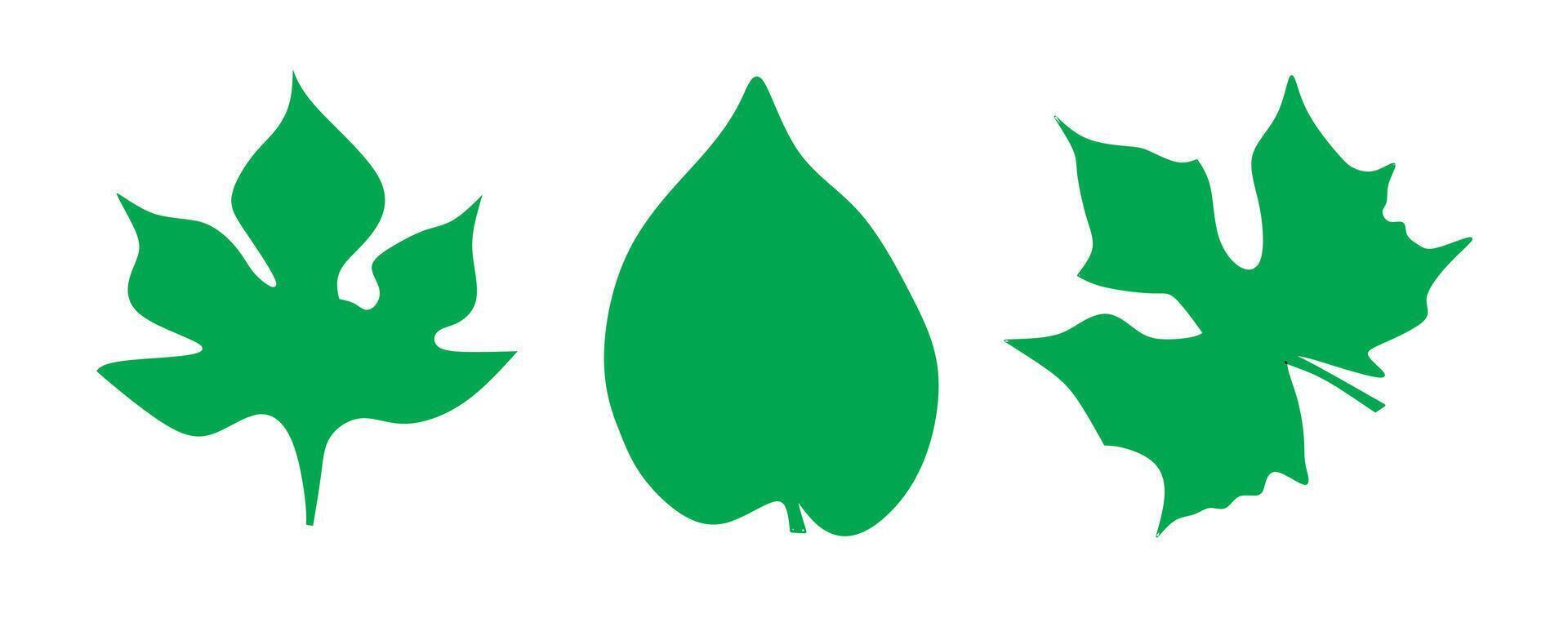 Three Green Leaf Silhouettes Representing Various Tree Species vector